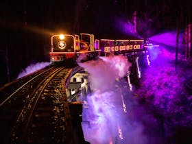 Puffing Billy's Train of Lights Cover Image