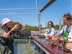 Guide lifting oyster basket during a Coffin Bay oyster farm tour, South Australia