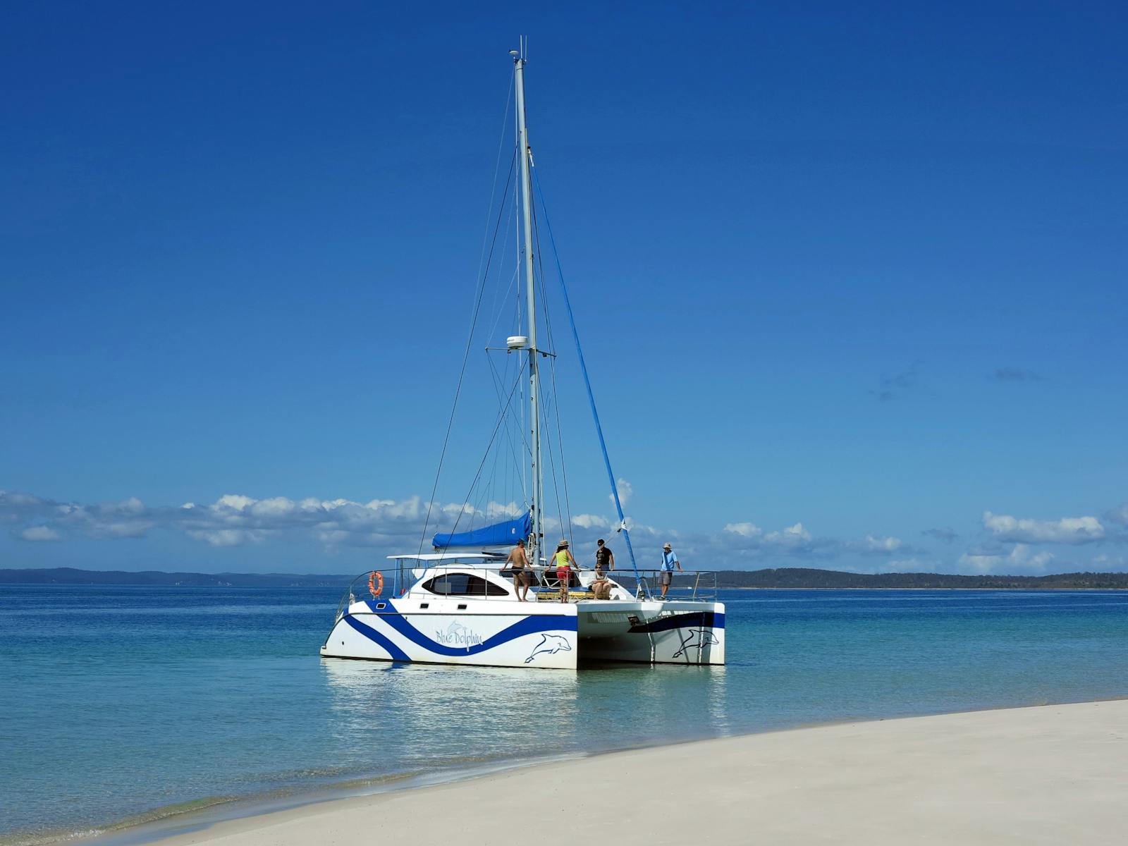 Blue Dolphin Marine Tours