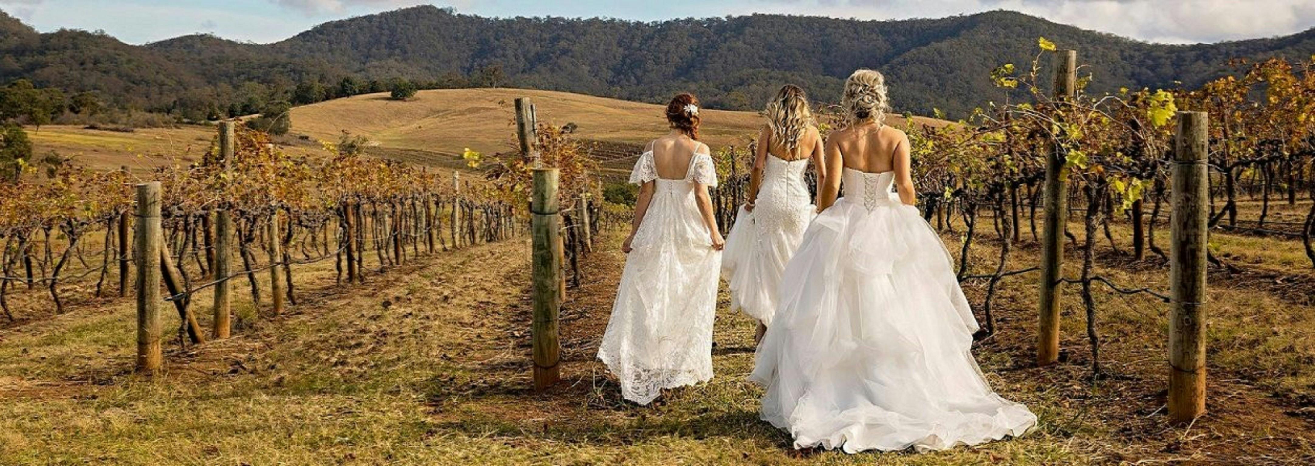 Wedding Expo In The Vineyards Nsw Holidays Accommodation Things