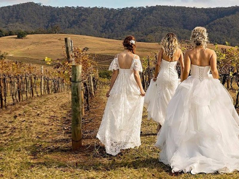 Wedding Expo In The Vineyards Nsw Holidays Accommodation Things