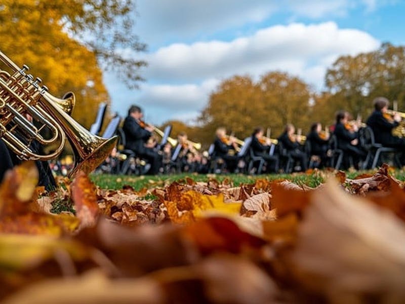 Image for Alpine Brass Festival