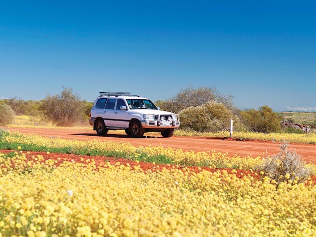 Everlastings Wildflower Trail