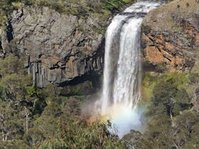 Waterfall Way Scenic Drive