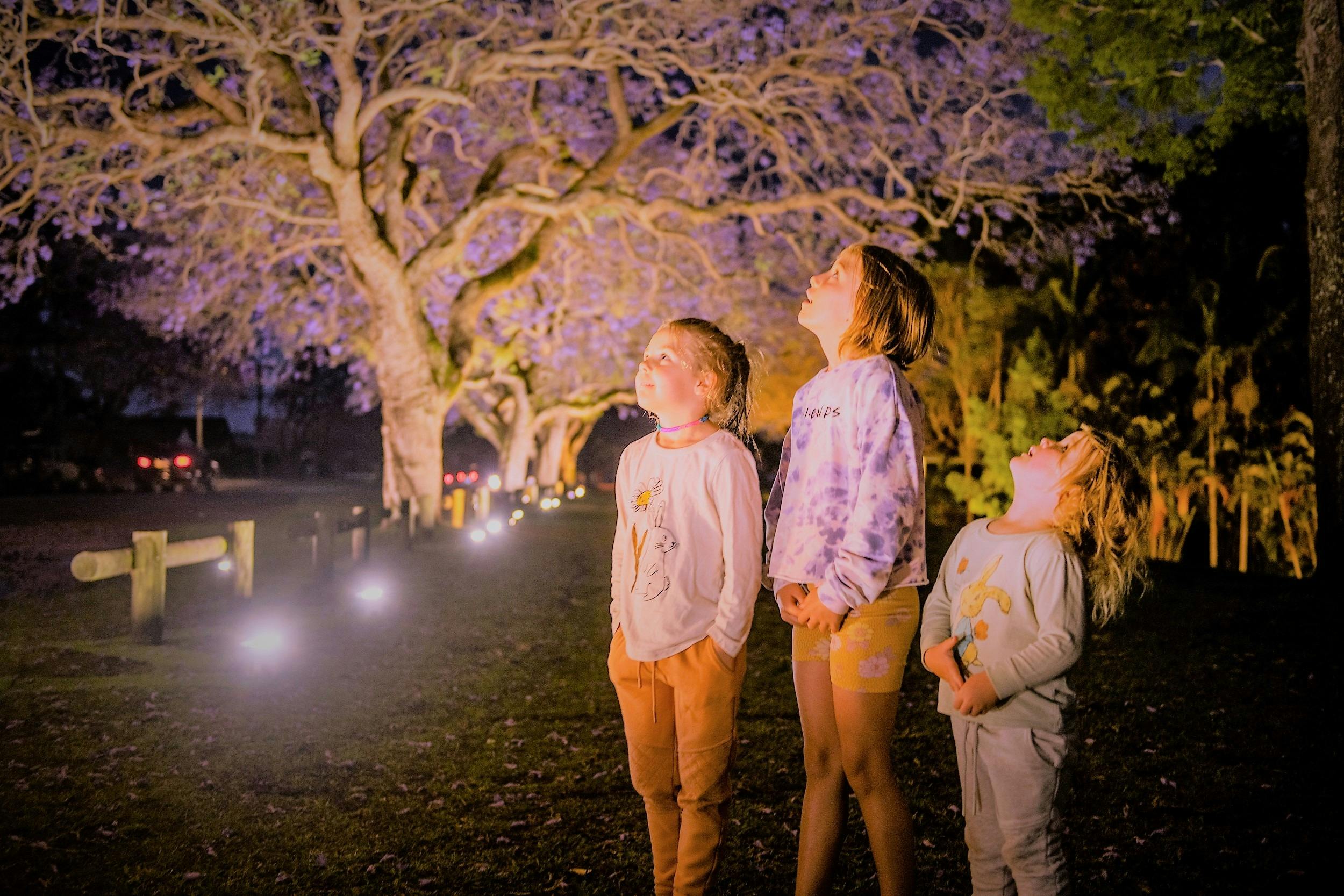 Illuminate Grafton, Northern NSW