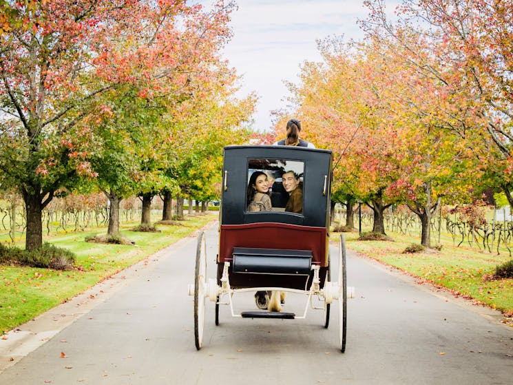 Hunter Valley Classic Carriages