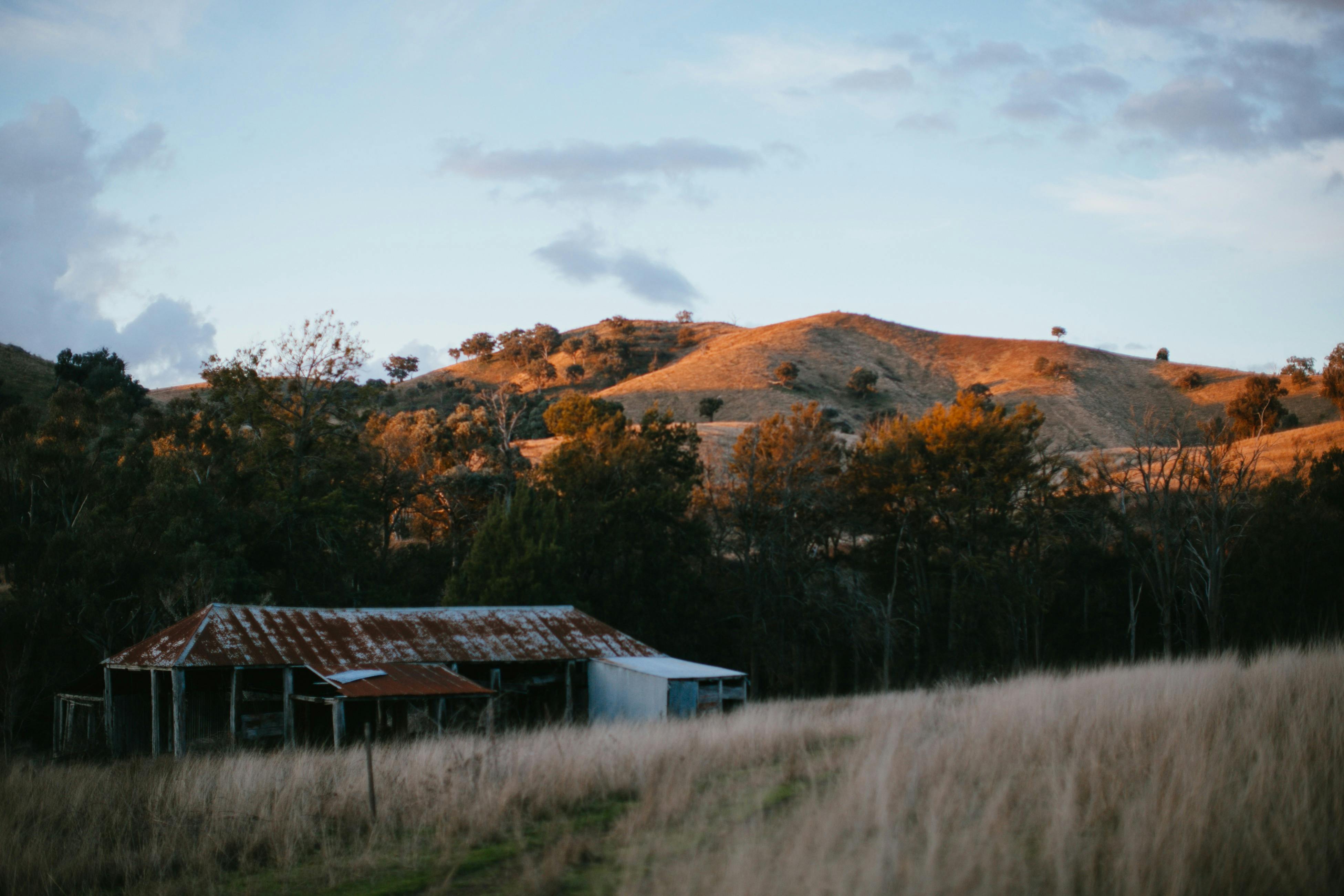 Hilly Numby landscape