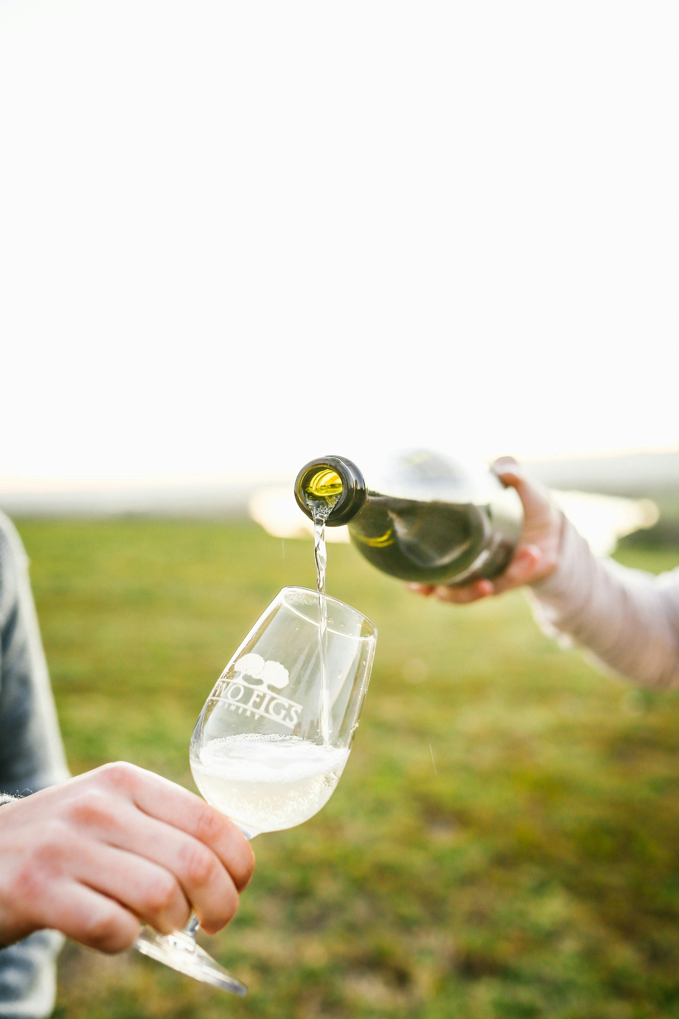 Pouring Two Figs Brut Cuvee