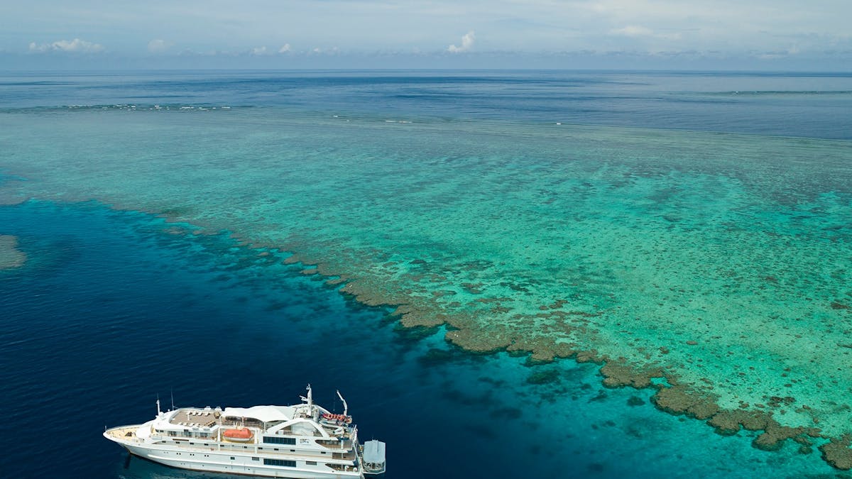 Coral Discoverer