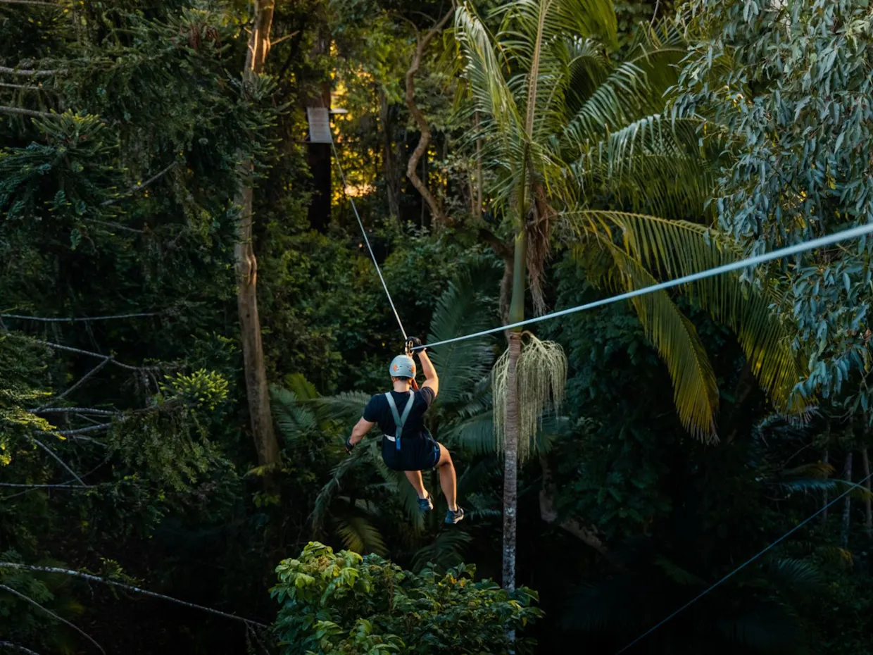 TreeTop Challenge - Sunshine Coast