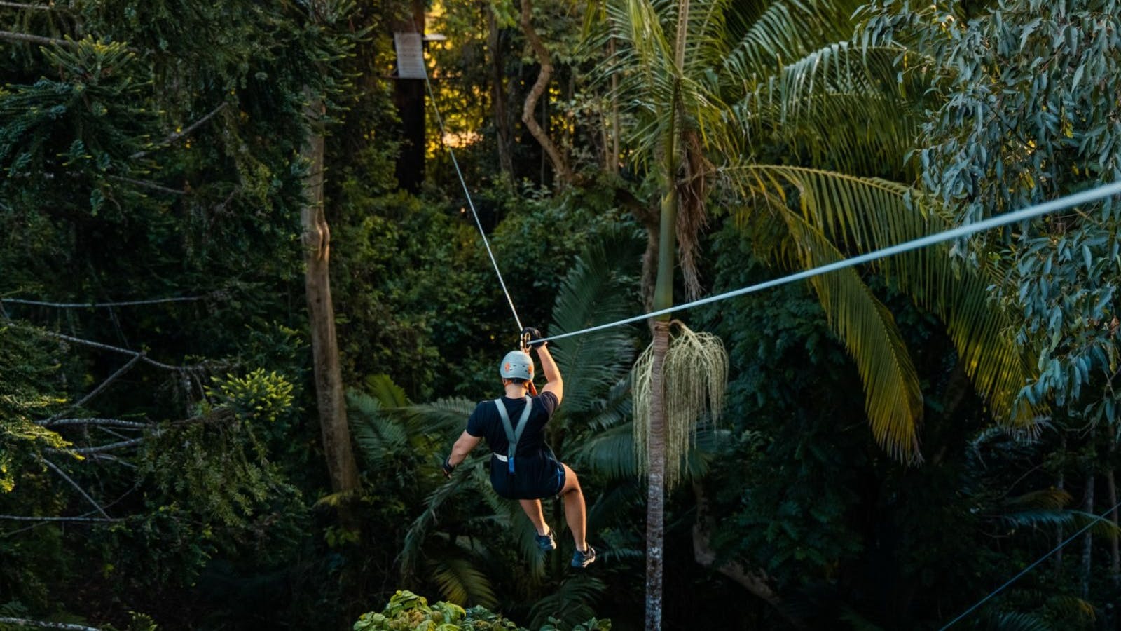 Zipline Adventure Zipline Adventure