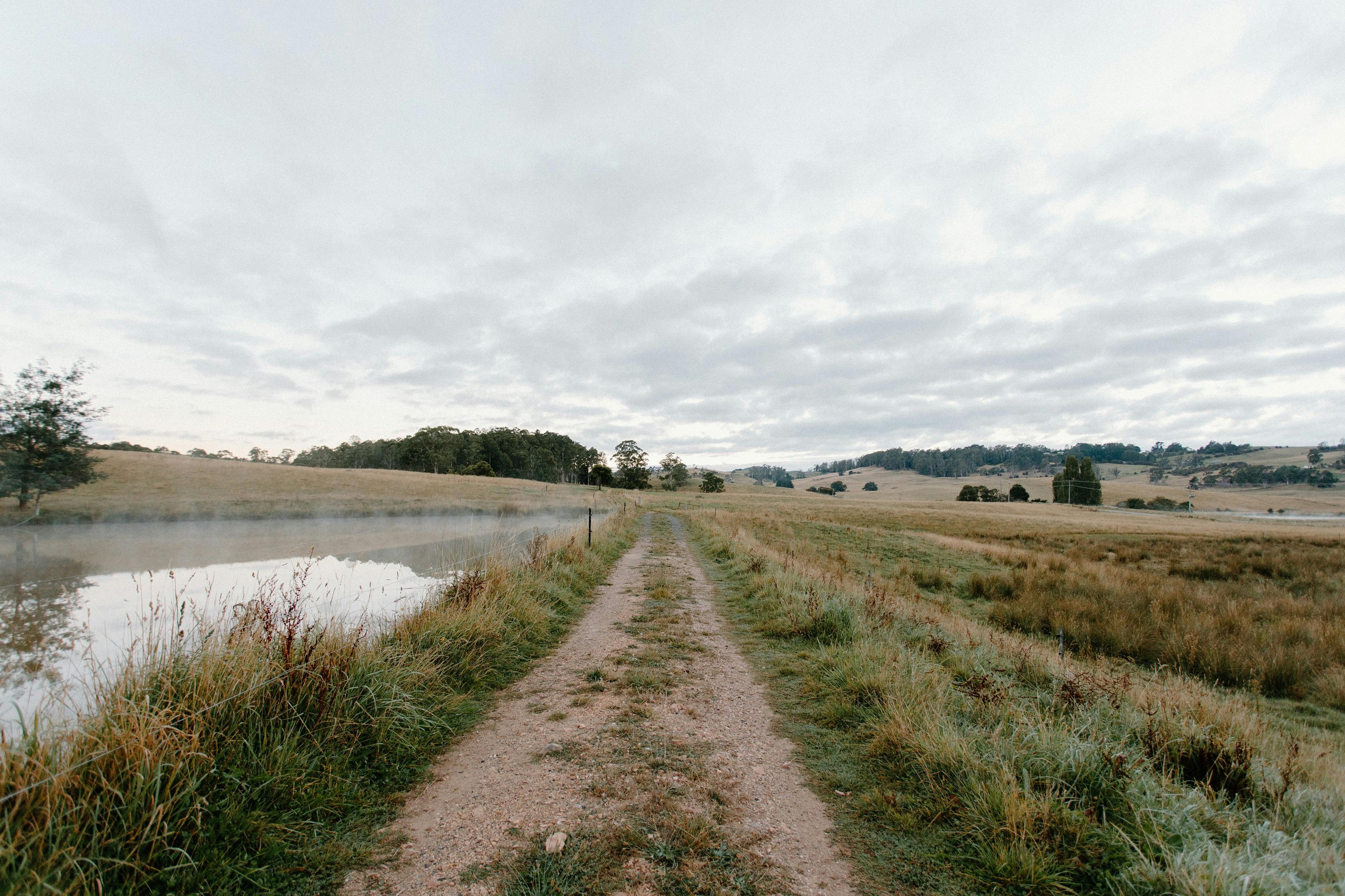 track beside a farm dam