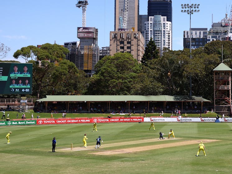 North Sydney Oval Cricket