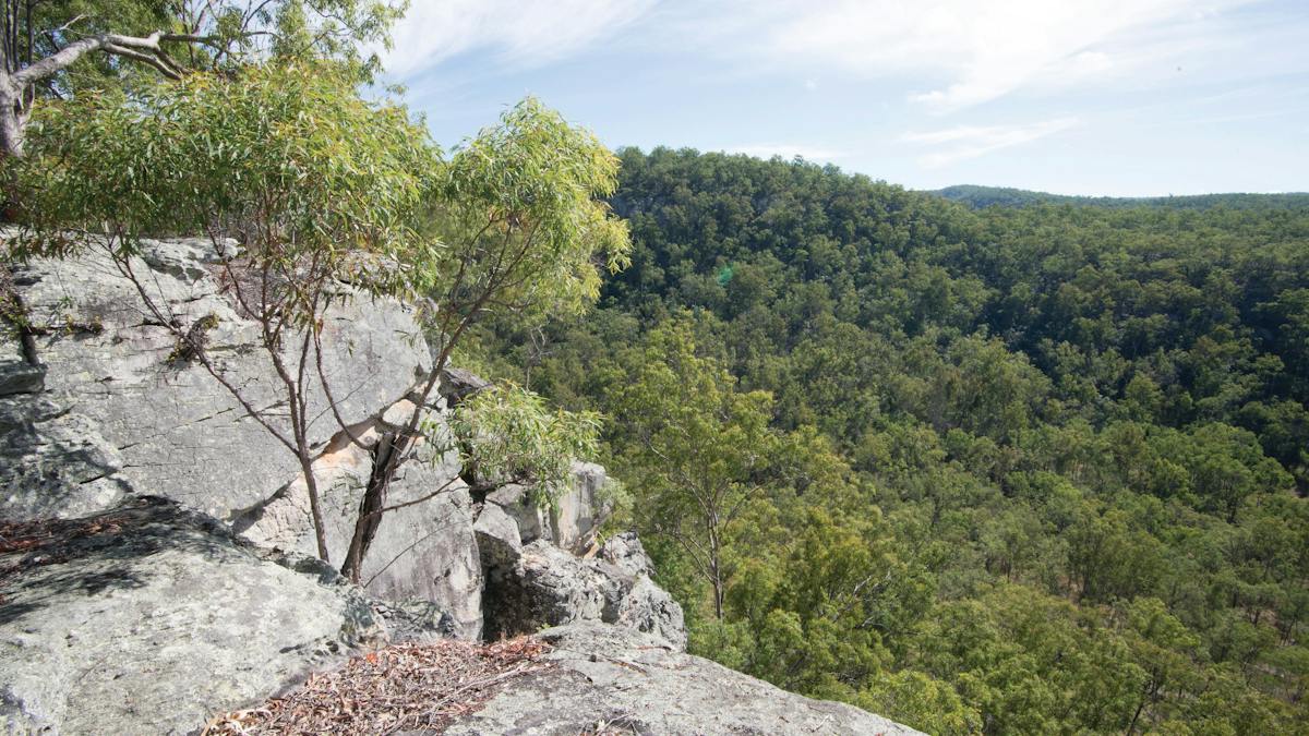 Monto | Destination-information | Queensland