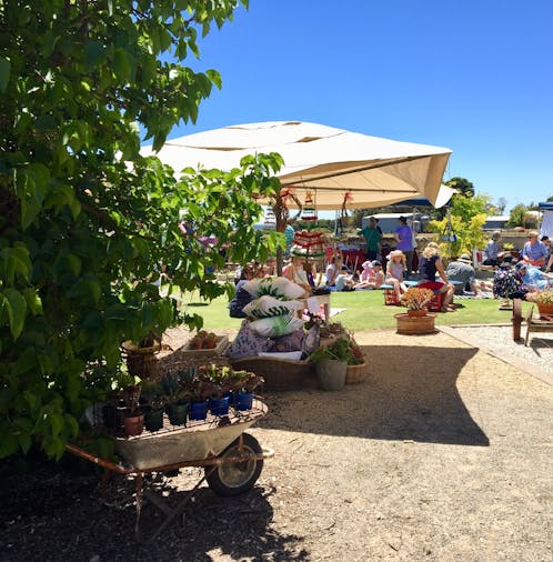 The Mulberry Tree Festival