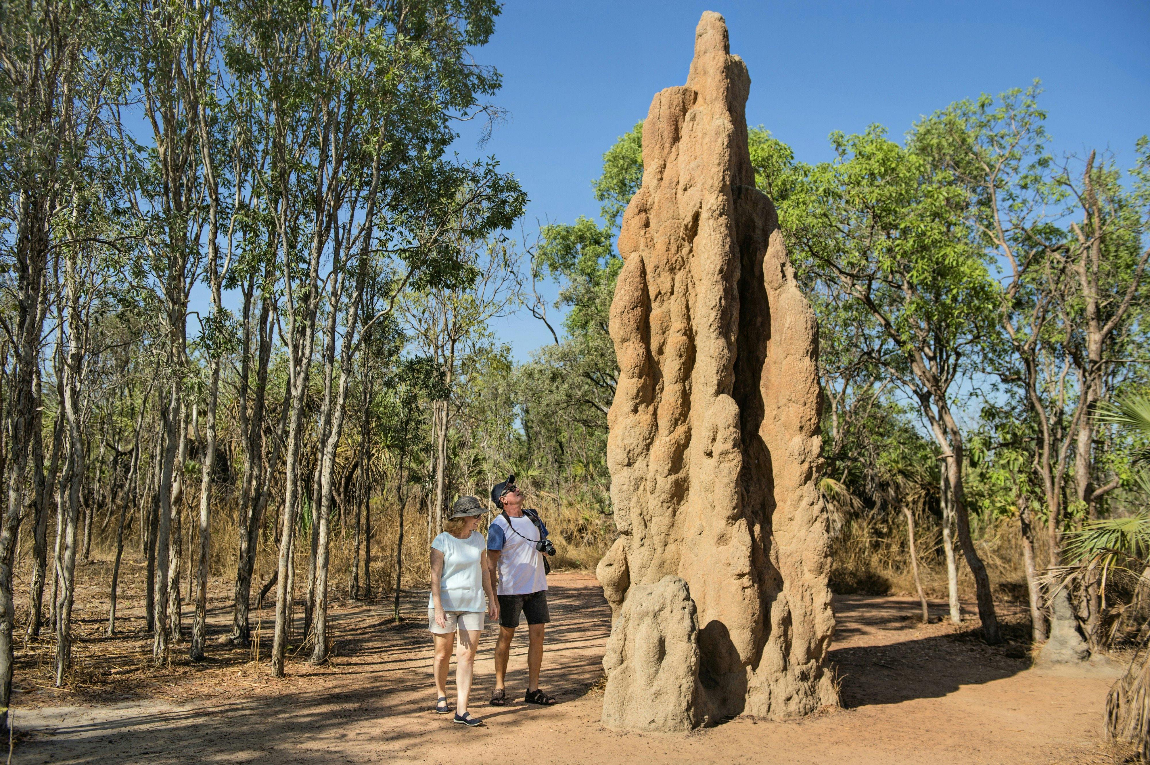 Visitors looking at a cathedral termite mound.