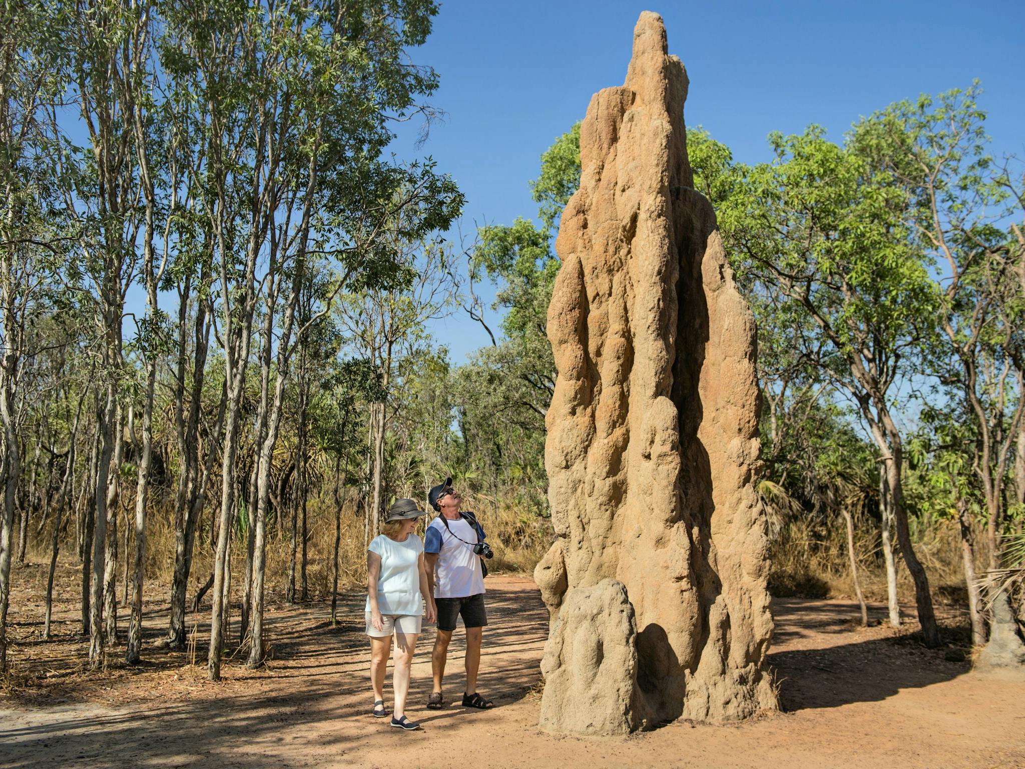 Visitors looking at a cathedral termite mound.