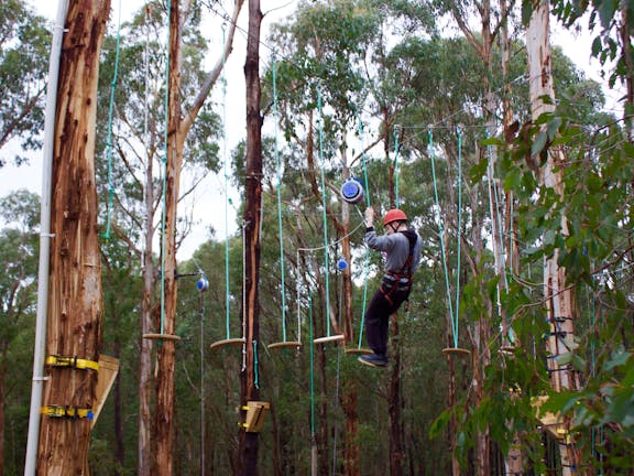 Kinglake Forest Adventures