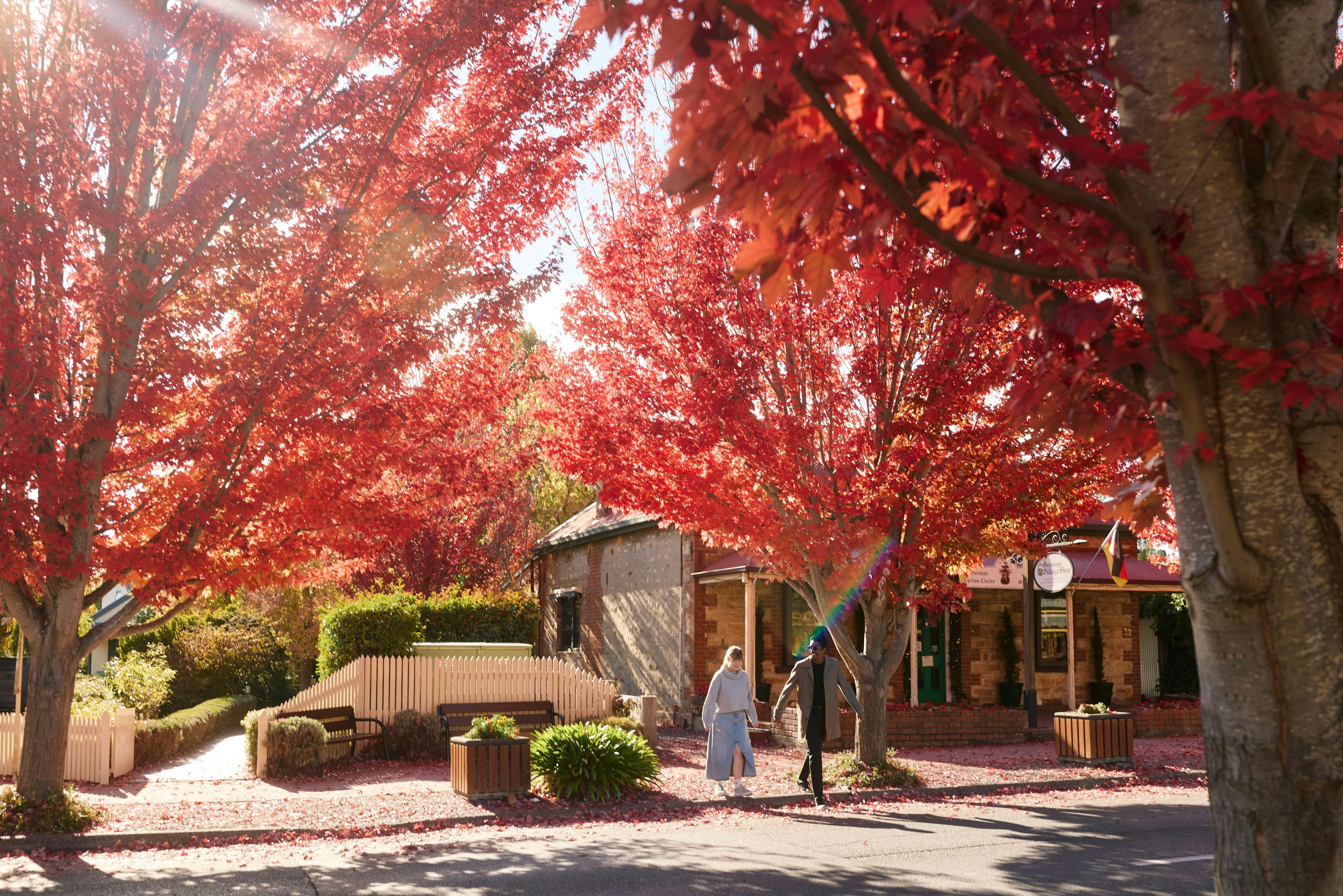 Hahndorf Main Street