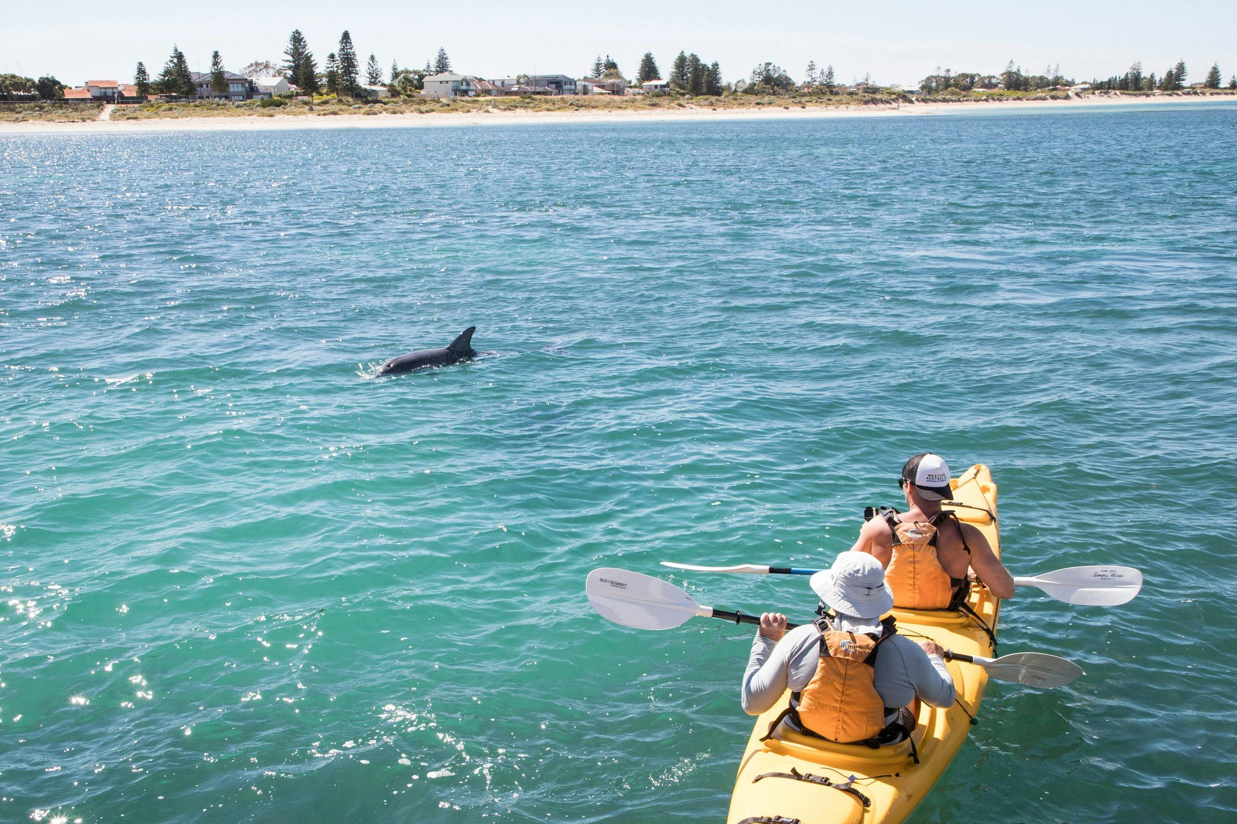 People kayaking at Shoalwater Islands Marine Park