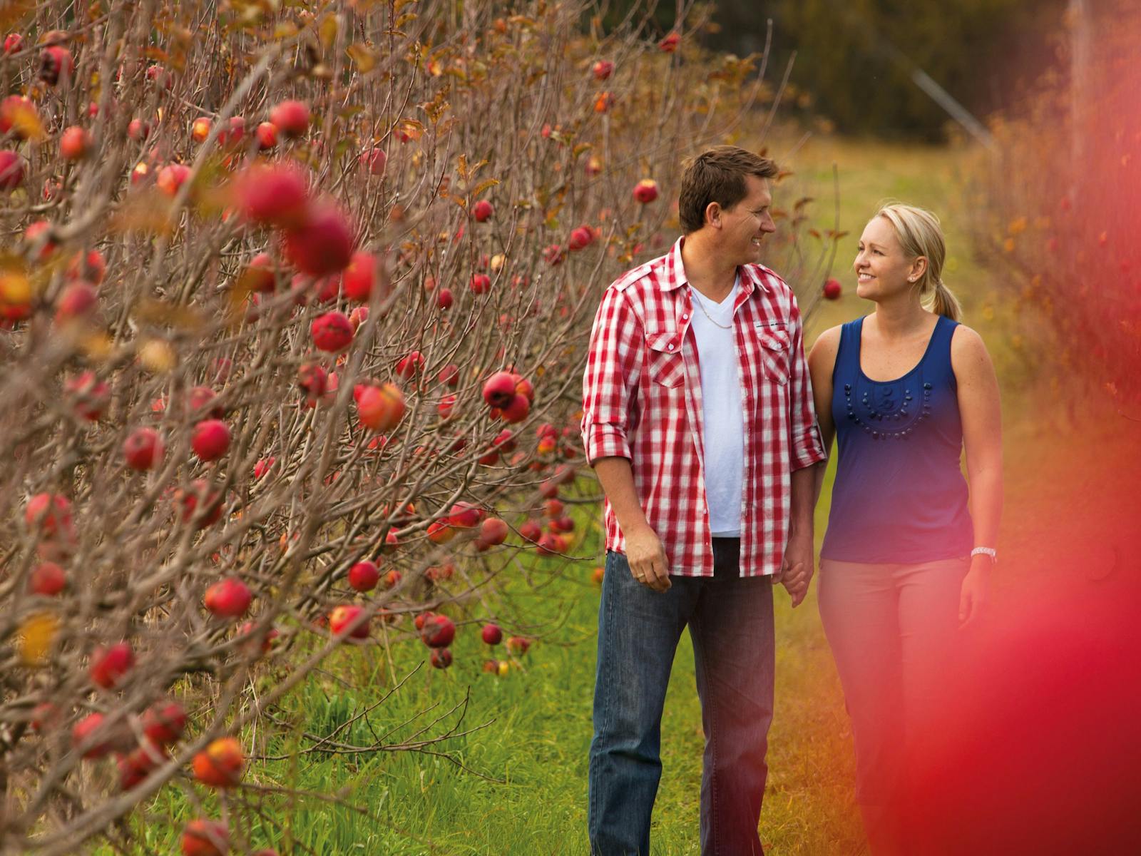 Gourmet Country Escape - Brisbane to Stanthorpe and Toowoomba