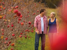 Gourmet Country Escape - Brisbane to Stanthorpe and Toowoomba