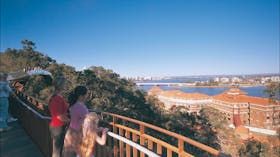 Law Trail and Lotterywest Federation Walkway, Kings Park, West Perth, Western Australia