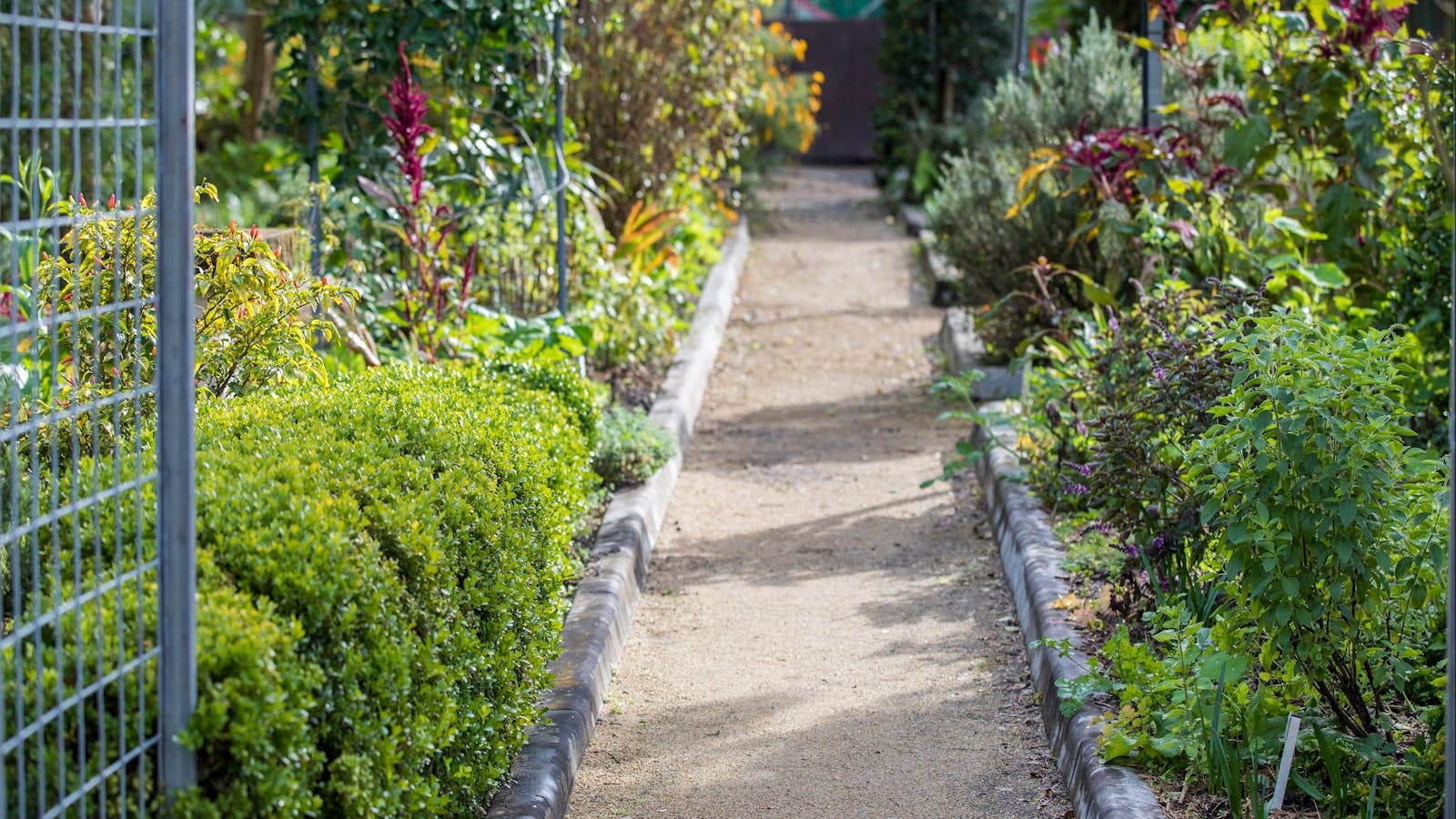 Redcliffe Botanic Gardens