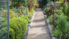 Redcliffe Botanical Gardens Herb Garden Moreton Bay
