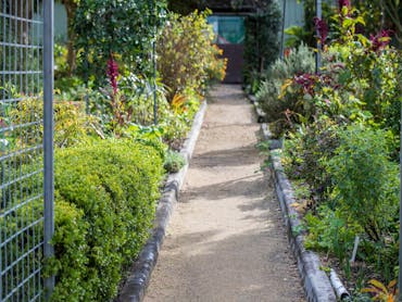 Redcliffe Botanical Gardens Herb Garden Moreton Bay