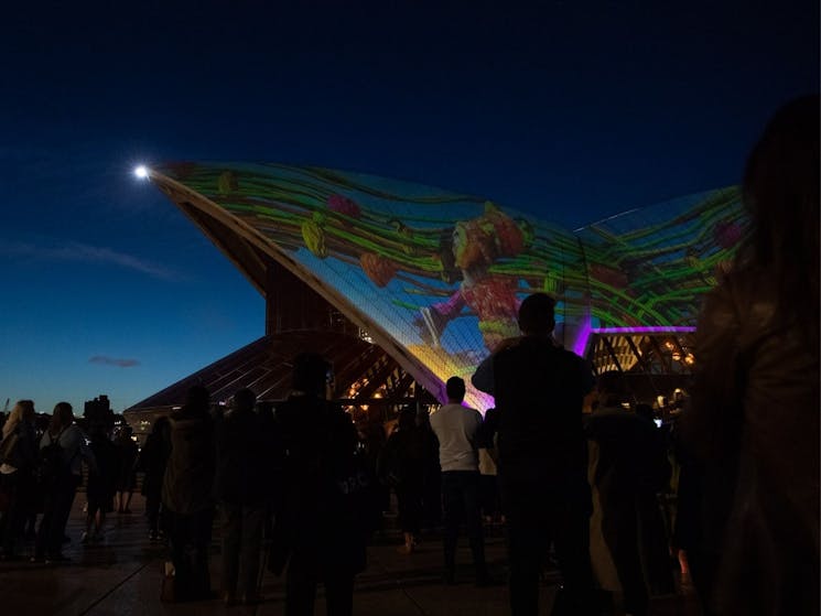 People watching the Sydney Opera House sails lit up with First Nations artwork