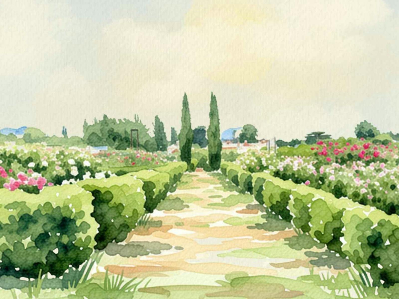 Festival of Roses at Woolmers Estate 2026