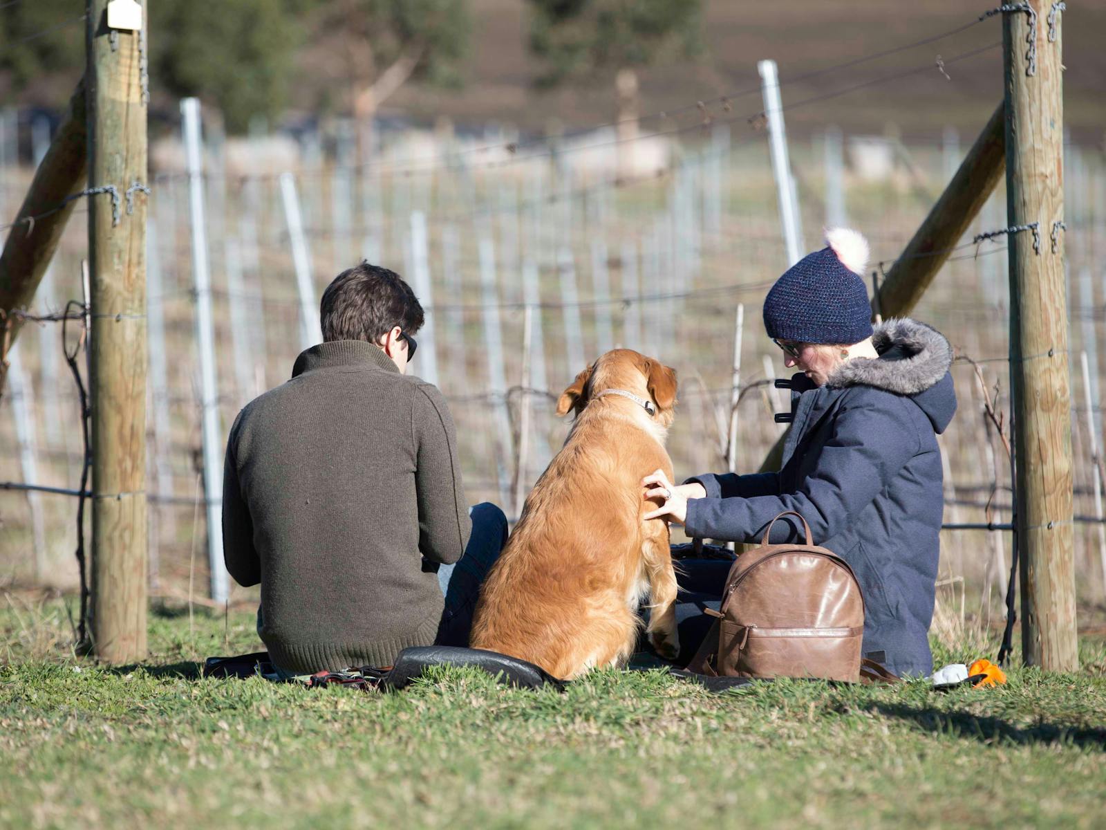 Dog Friendly