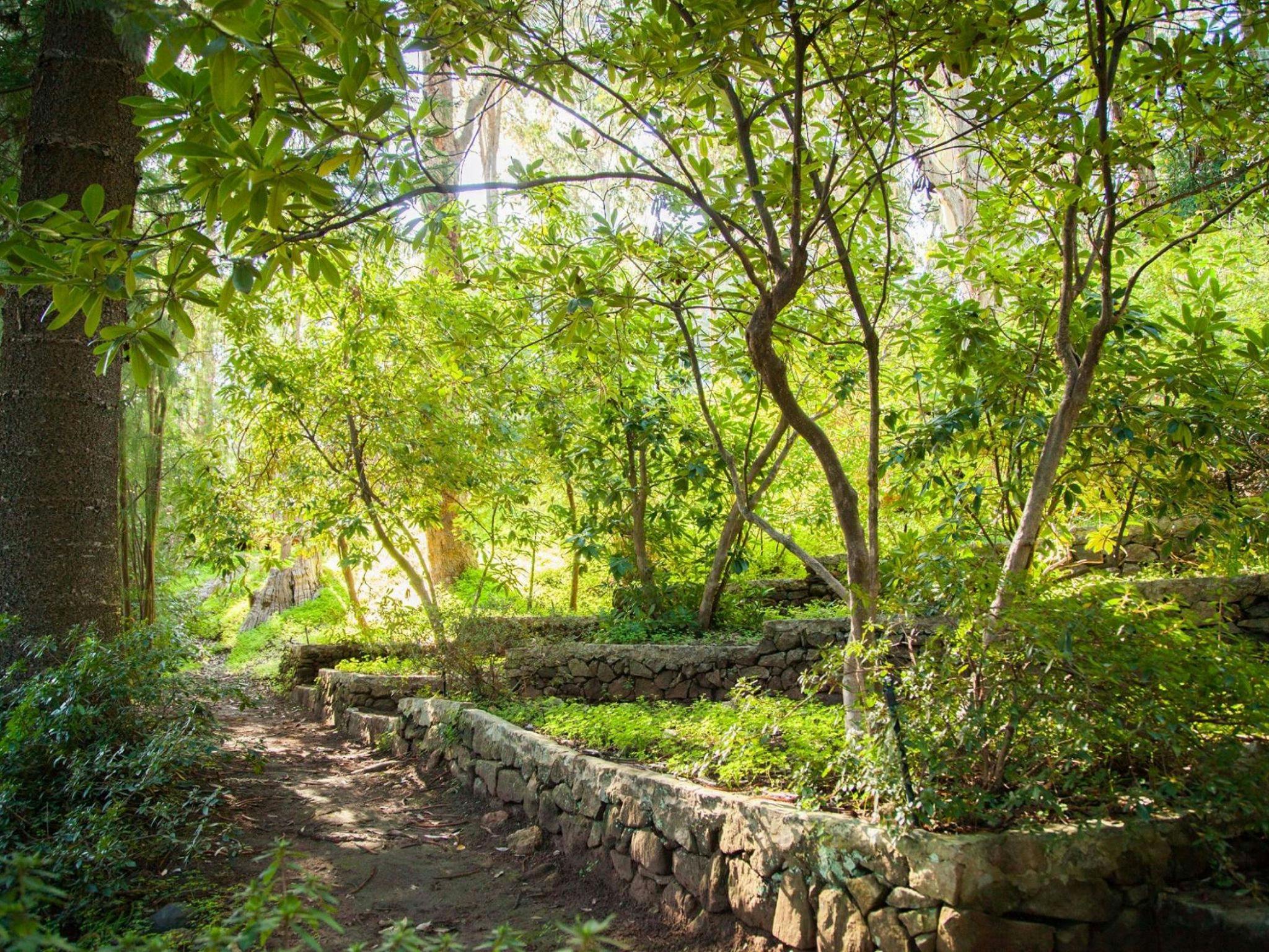 Araluen Botanic Park