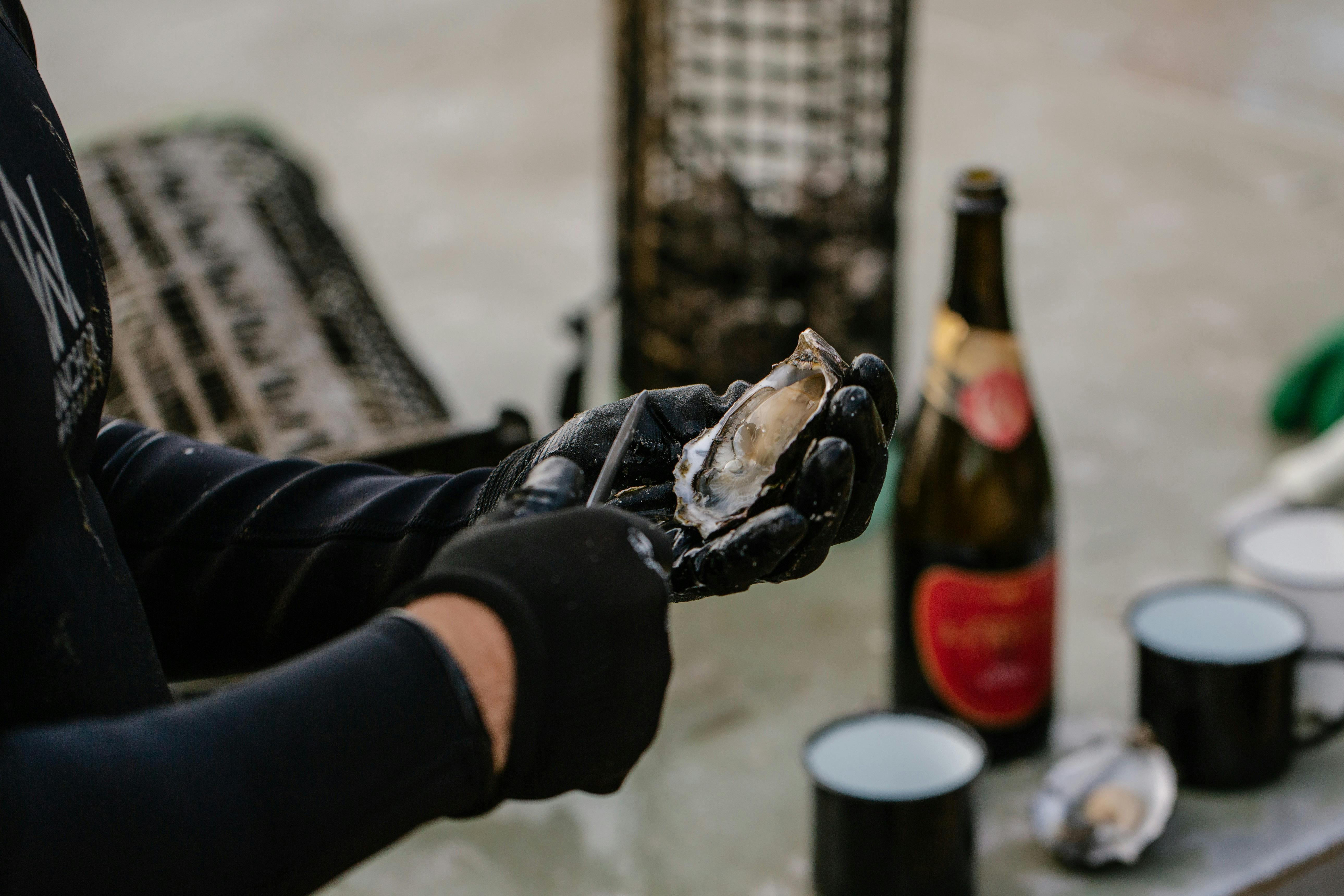 World Class oysters and wine