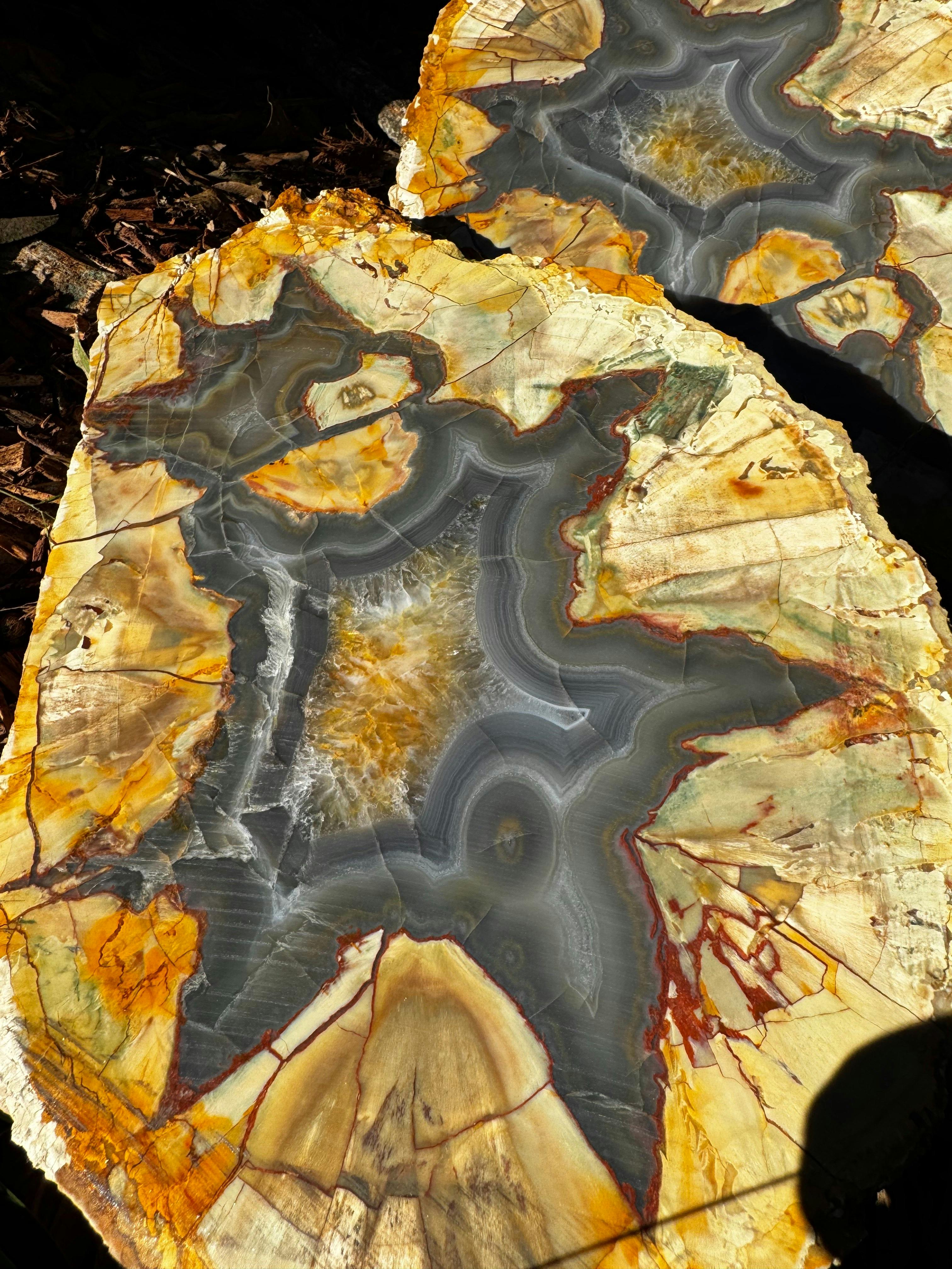 Thunderegg