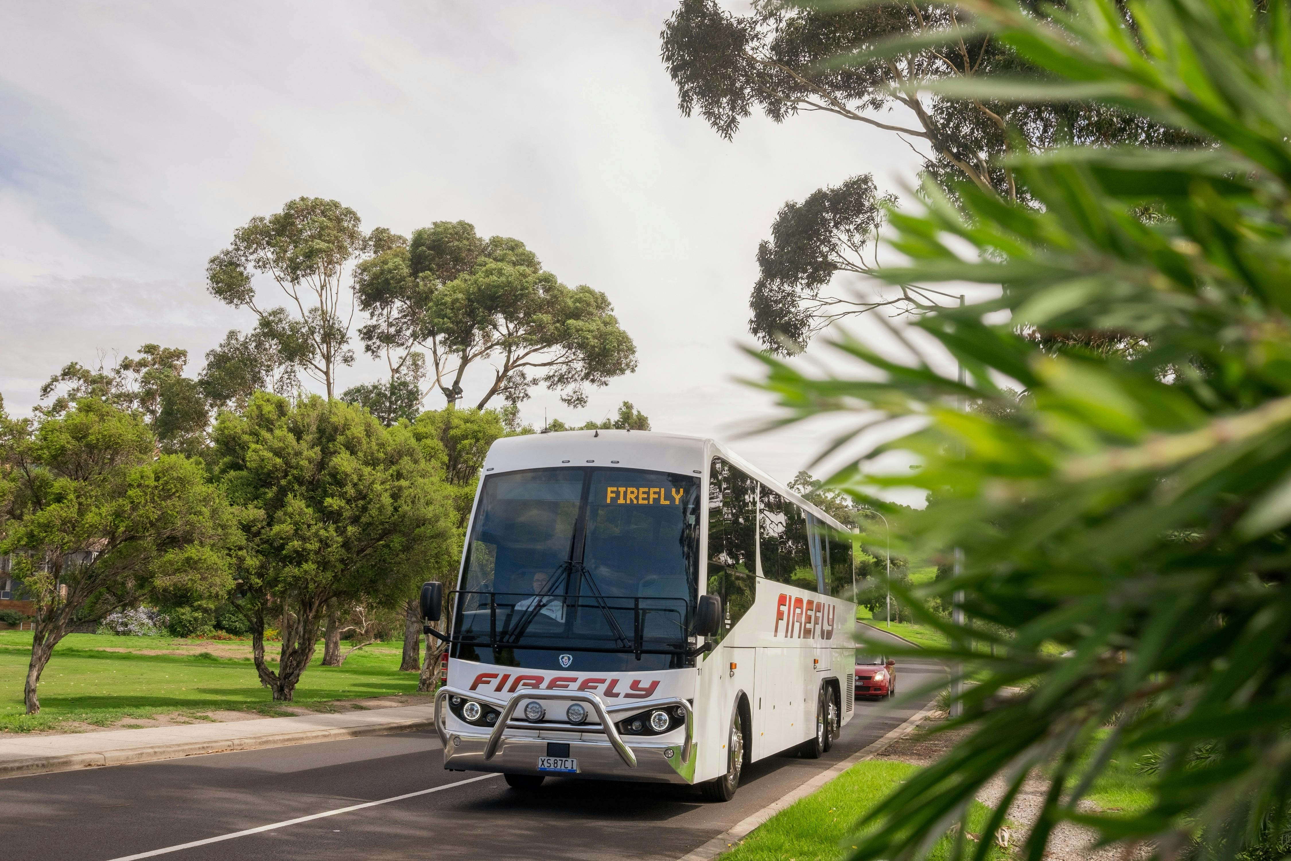 Firefly Express - NSW