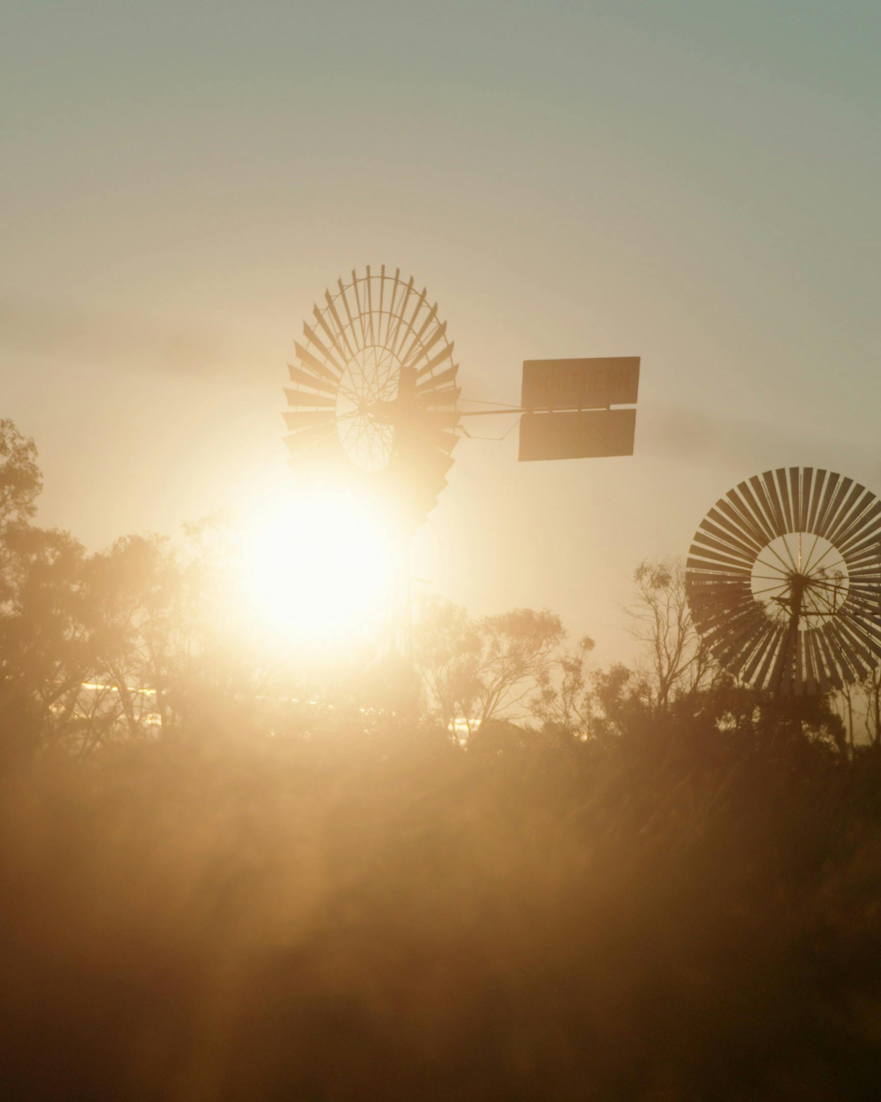 Outback Queensland Cattle Drive