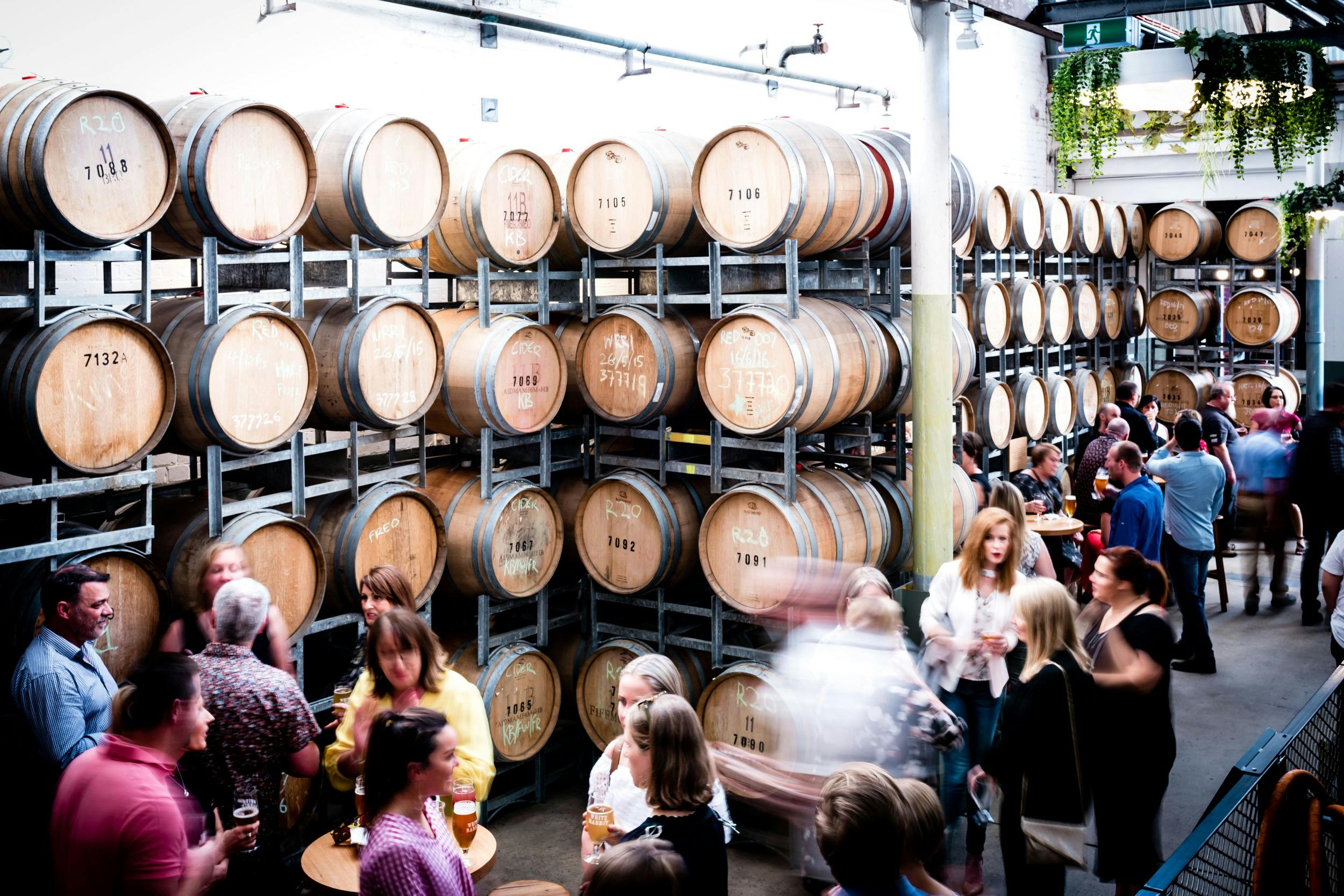 Melbourne Brewery Tours Surf Coast Beer Trail - Private Tour