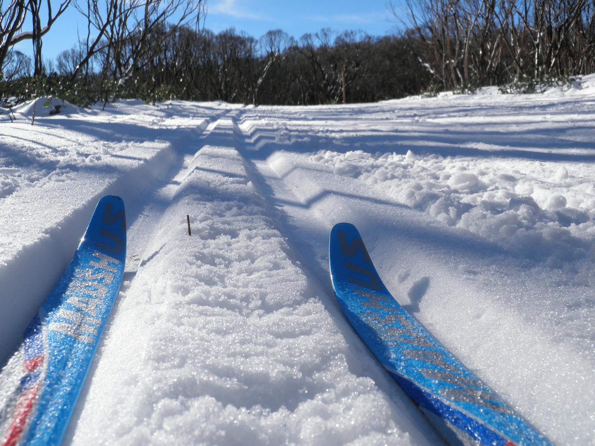Sunny day skiing on the groomed ski trails