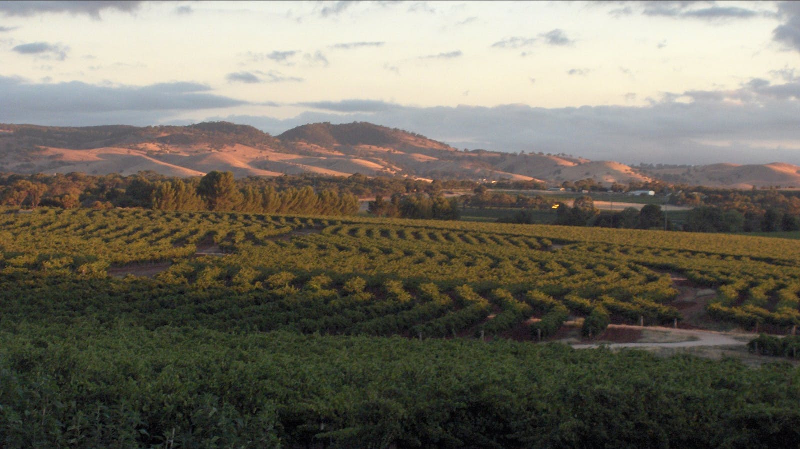 Heritage Wines