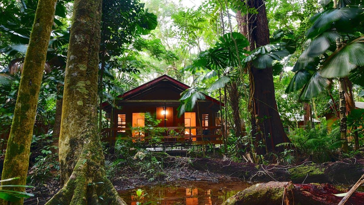Mackay Cabin nestled in the rainforest.