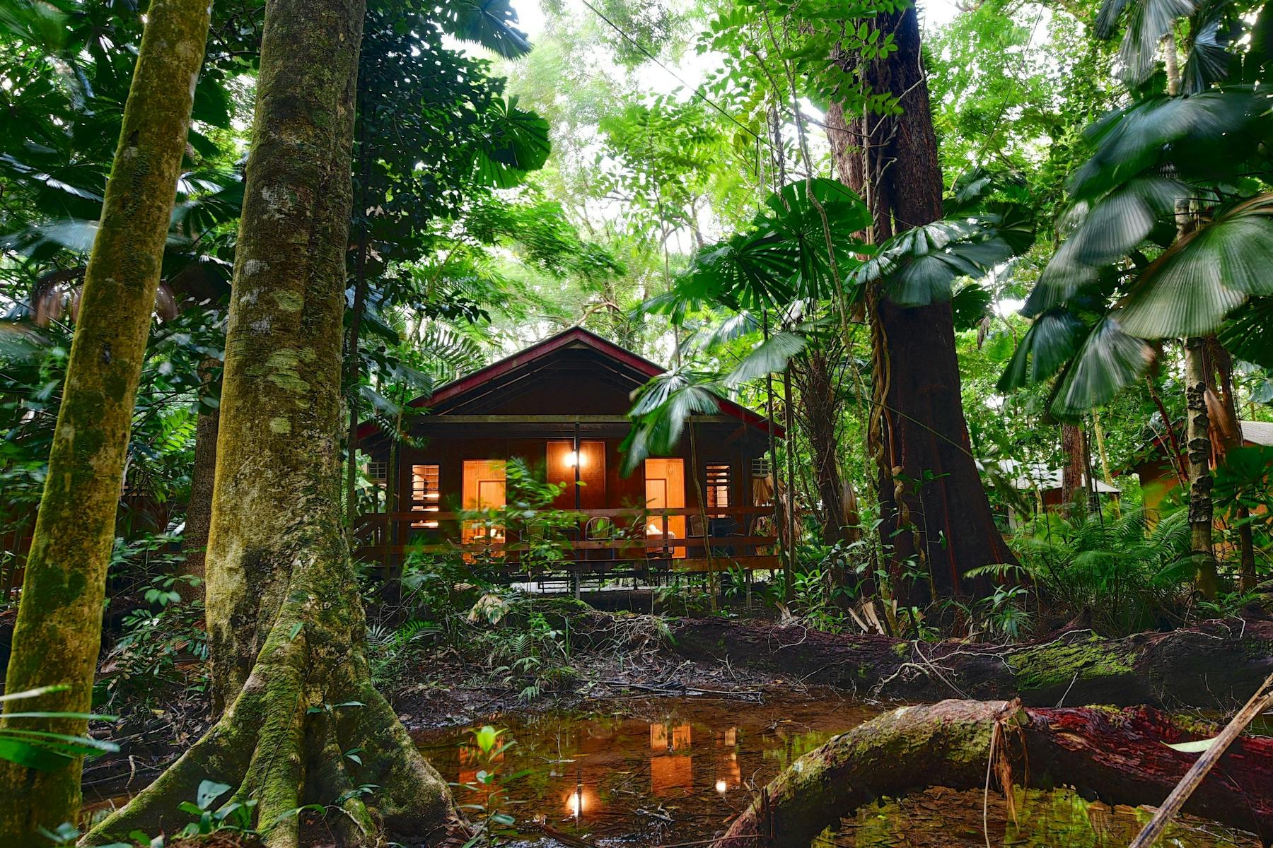 Mackay Cabin nestled in the rainforest.