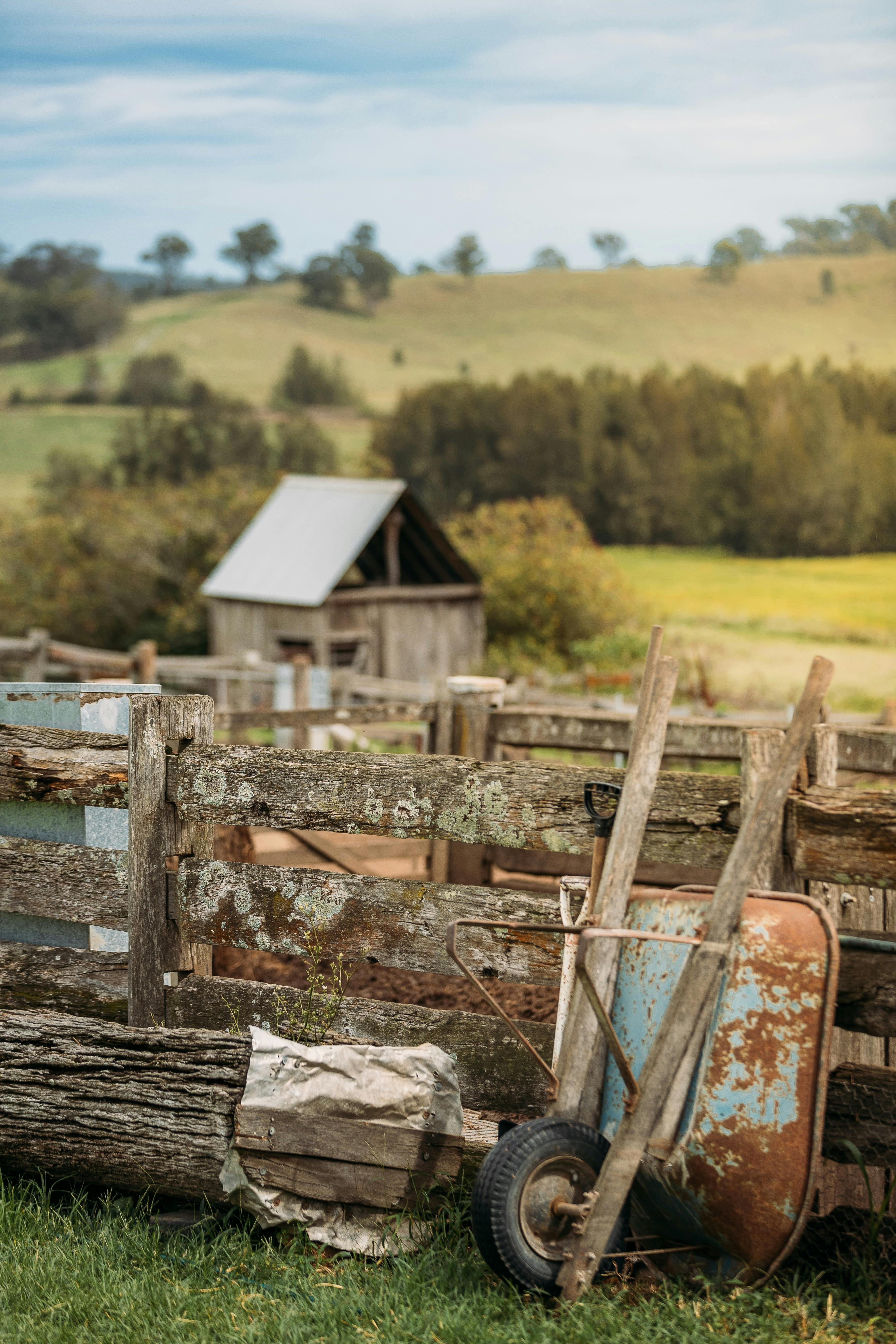 Tocal Homestead Tours