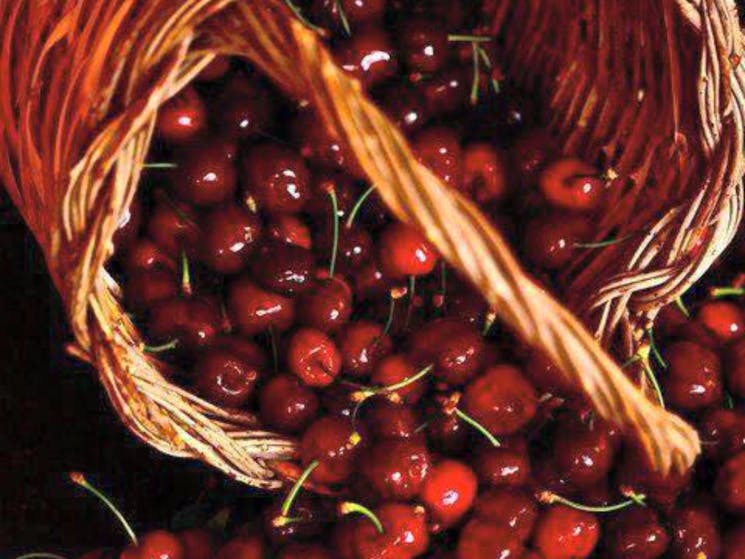 Cherries