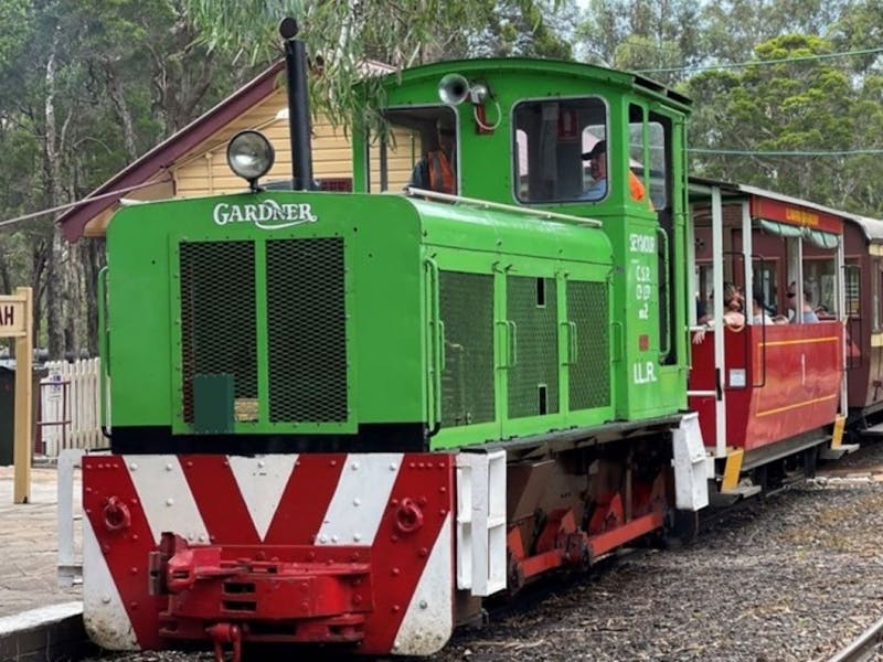 Image for The Diesel Train