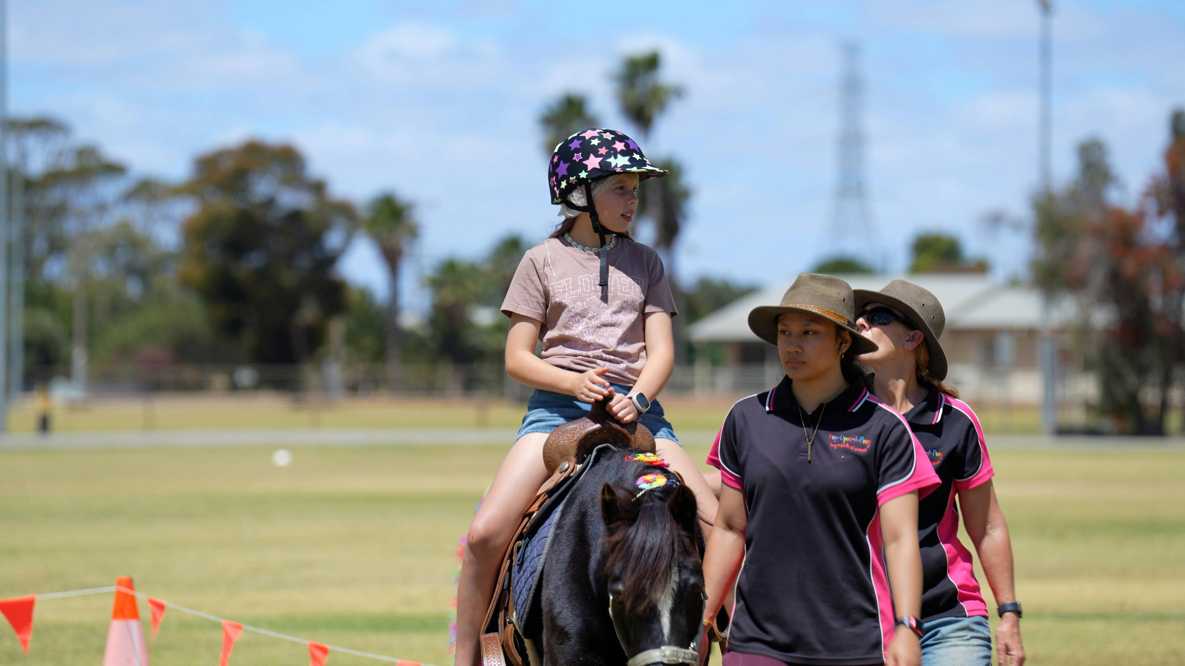 Pony Rides