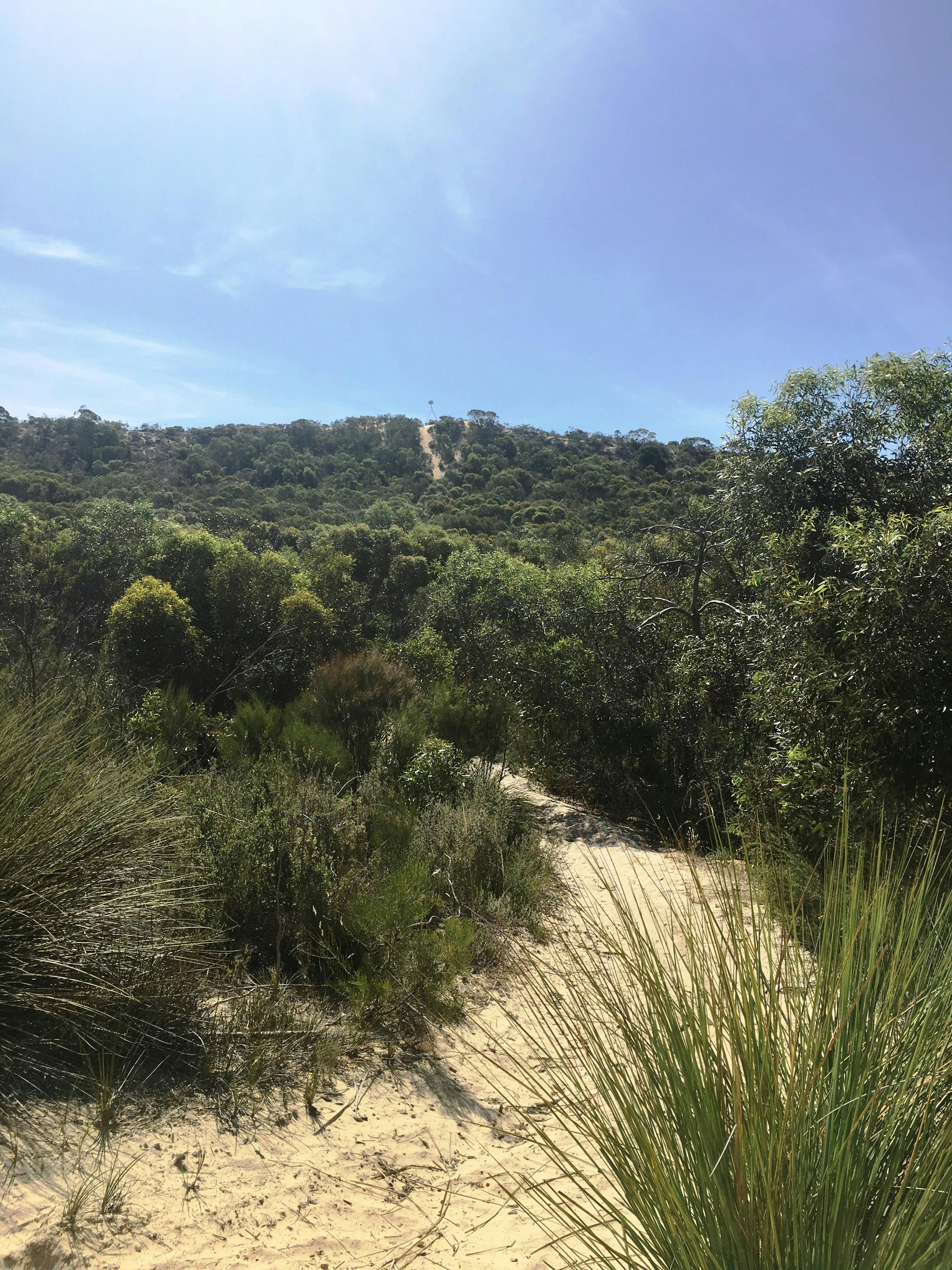 Tauragat Hill