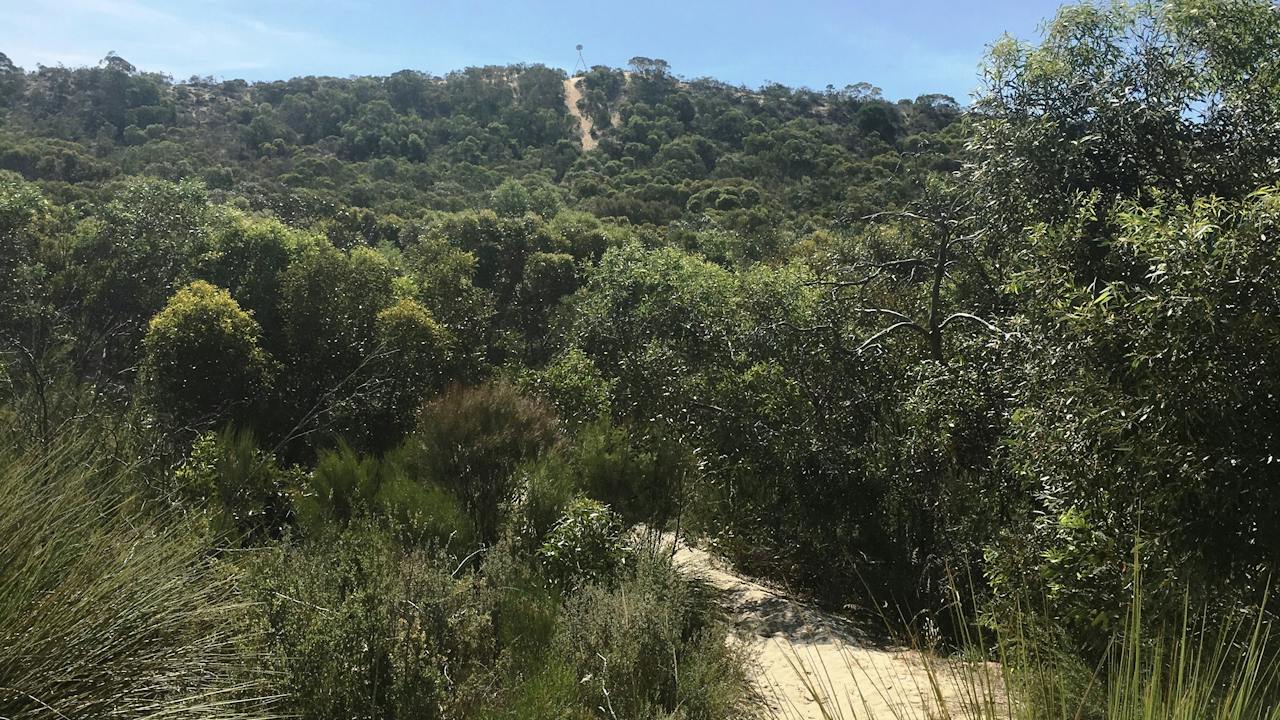 Tauragat Hill