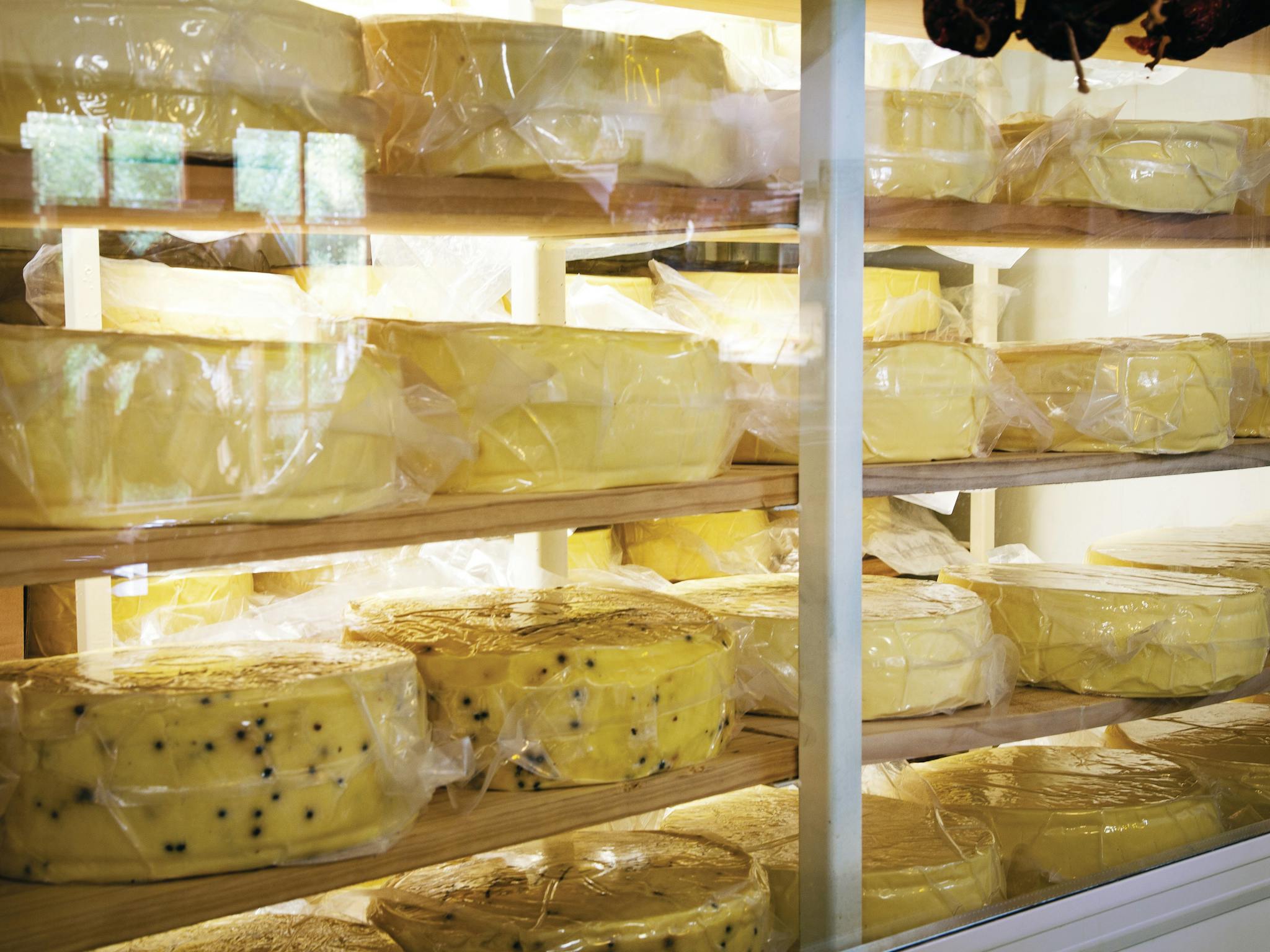 Stanthorpe Cheese Stanthorpe Cheese